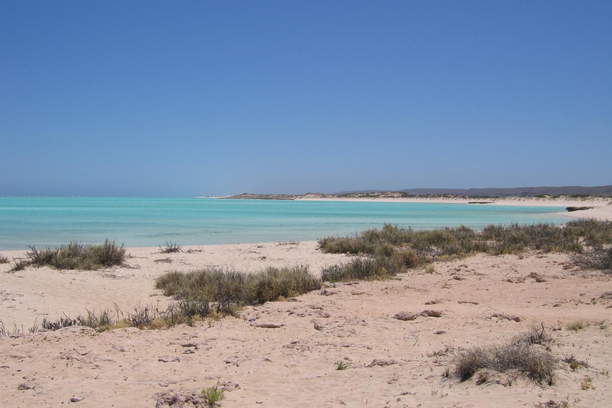 View of beach with clear blue water