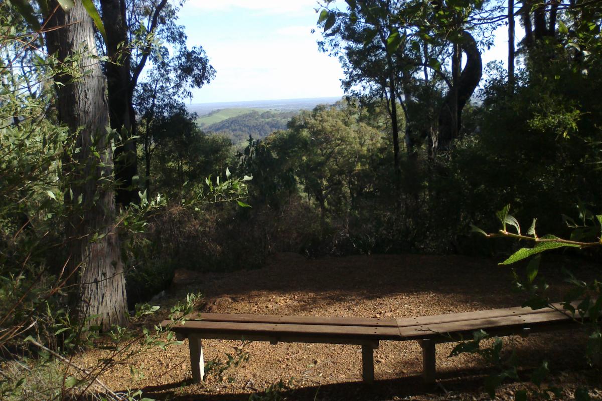 Scarp Lookout. a clearing in the forest overlooking the landscape from scarp lookout
