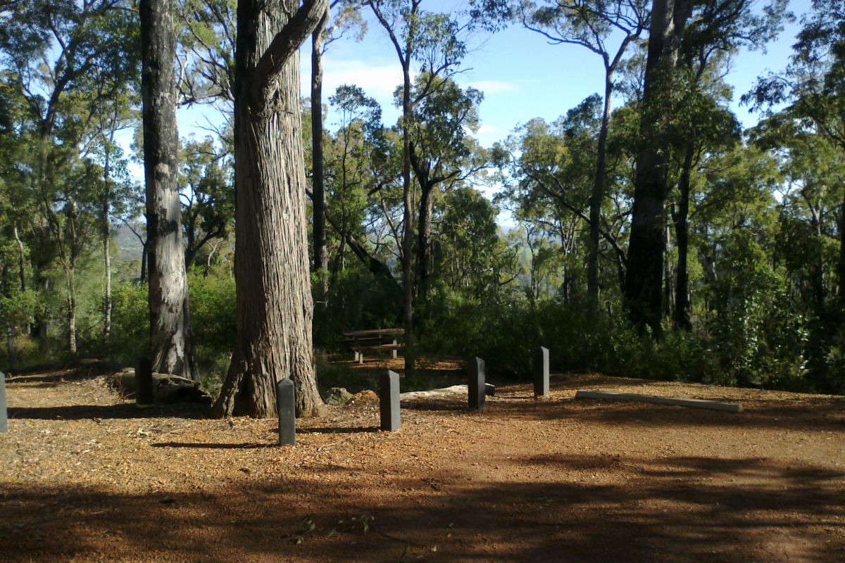 clearing in the area of the scarp lookout