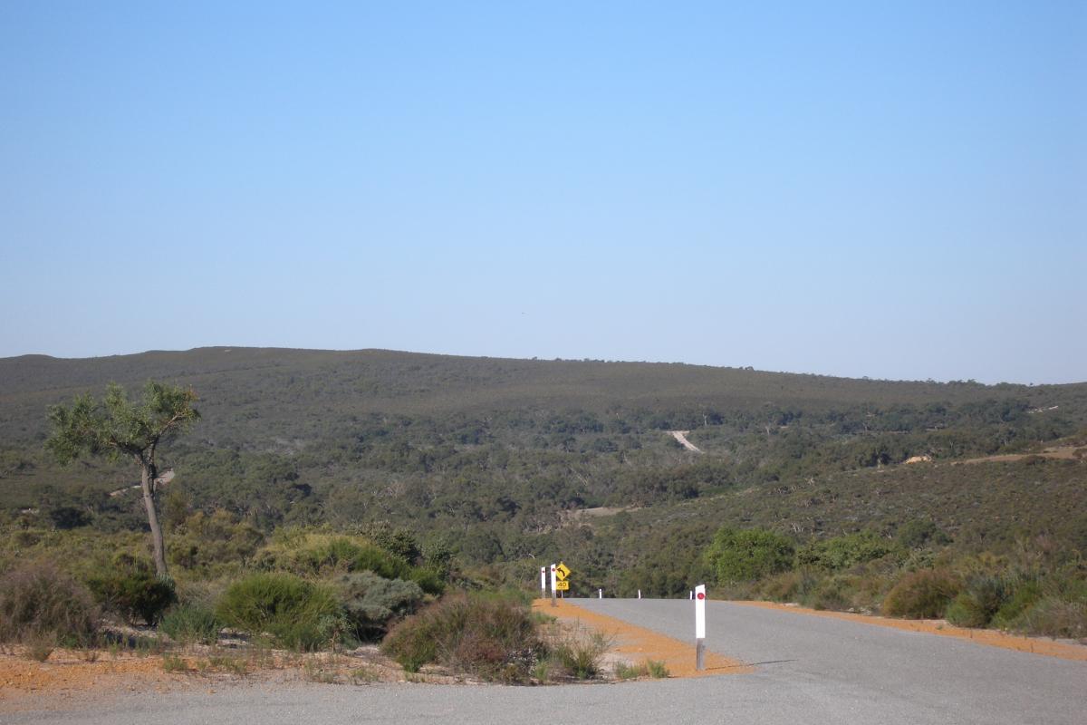 Bitumen road providing scenic views of the Lesueur National Park