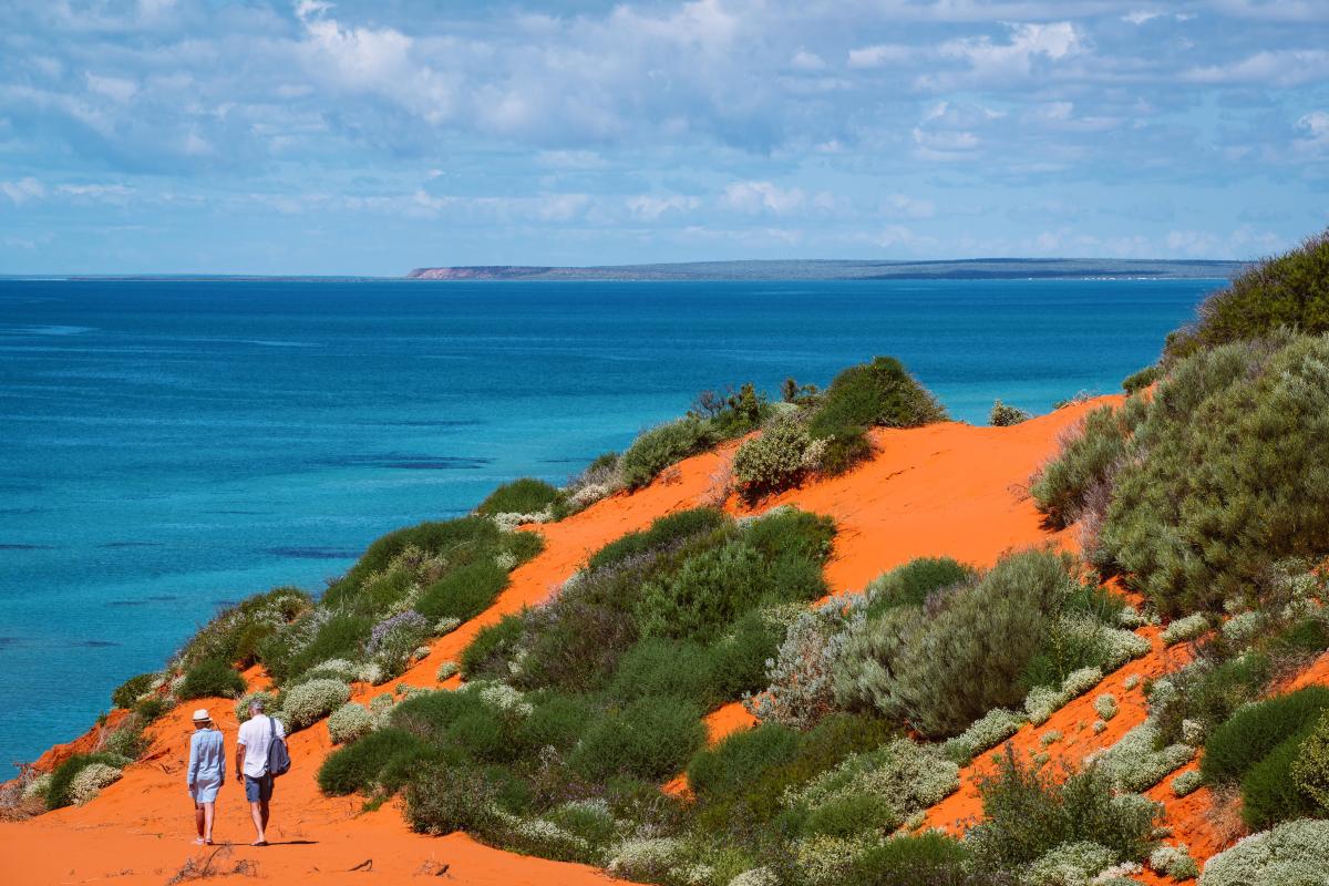 Two people walking along bright orange sand