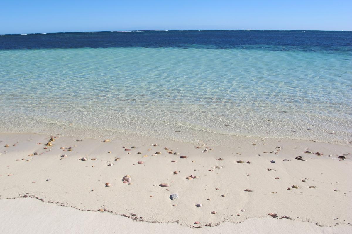 Clear blue water and white sand with sea shells