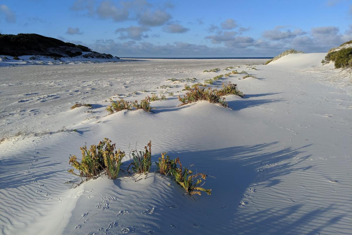 A broad valley of white sand behind St Mary Inlet Campground where St Mary Inlet meets the beach