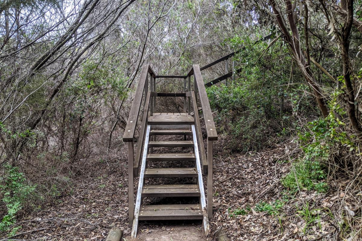 wooden staircase on the Stokes Heritage Walk Trail near where it leaves the Stokes Inlet day use area