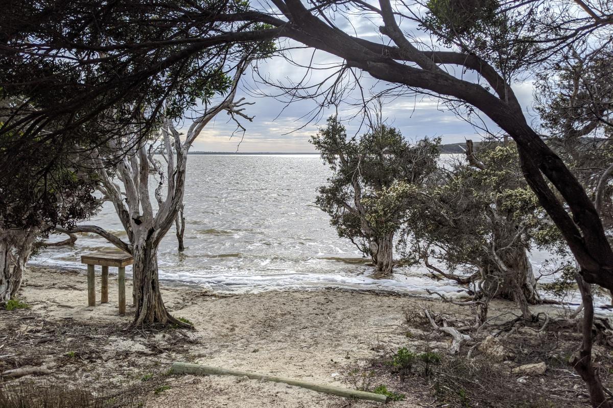 Stokes Inlet shoreline