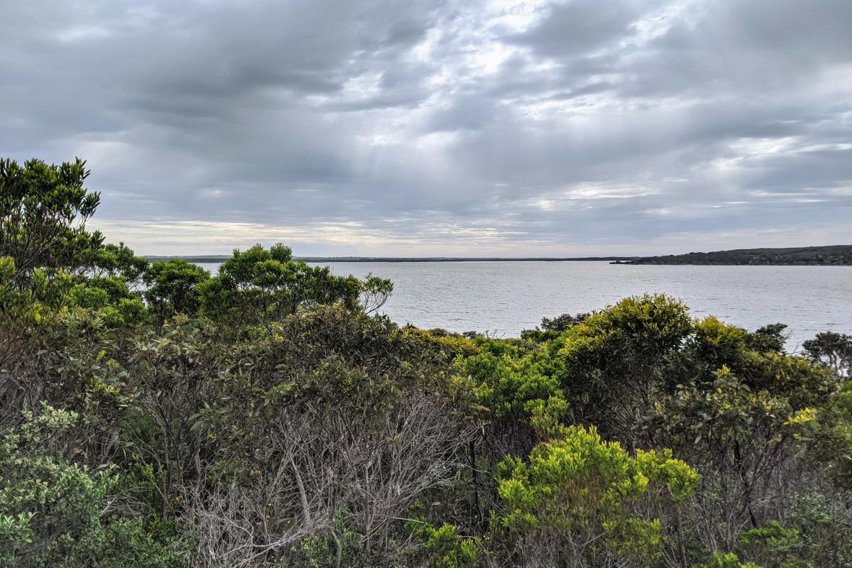 View of Stokes Inlet over the tops of bushes from the top of the staircase that leads down to the Stokes Inlet day use area from the Heritage Walk Trail