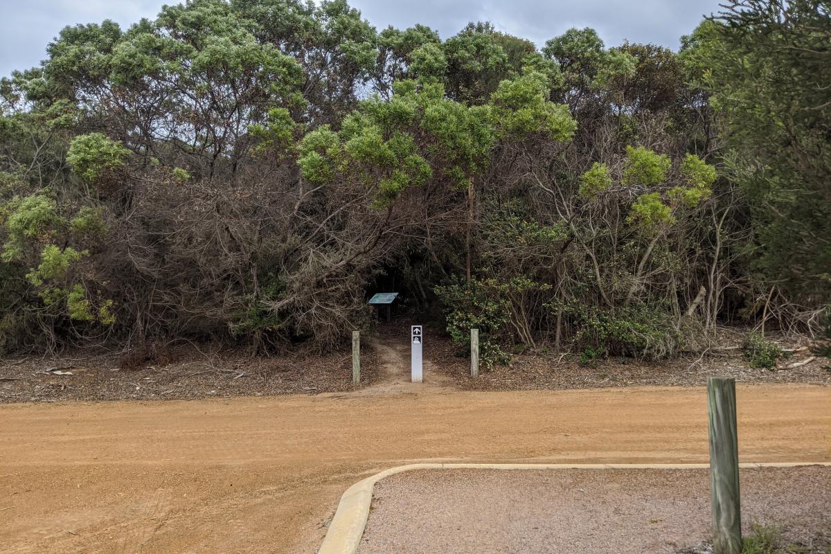 Access to the Stokes Heritage Trail from the Stokes Inlet day use area, as viewed from the gravel carpark.