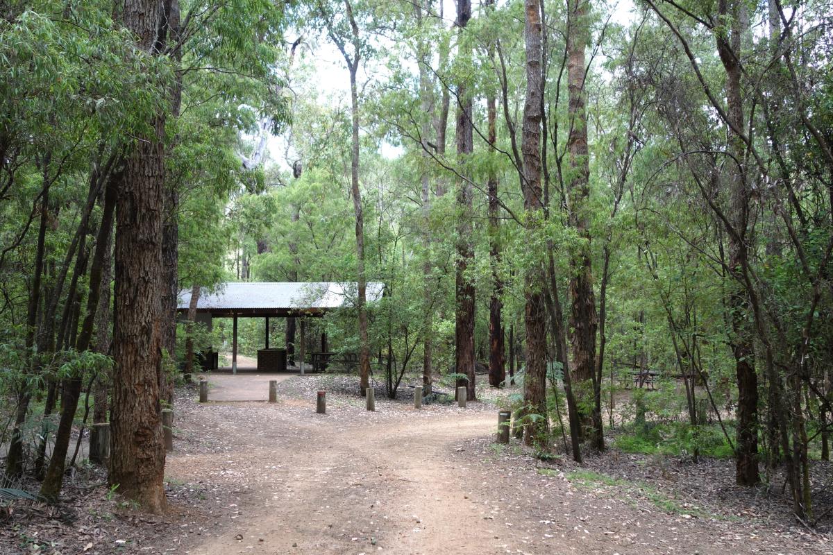 Campground shelter for cooking and picnic tables surrounded by forest
