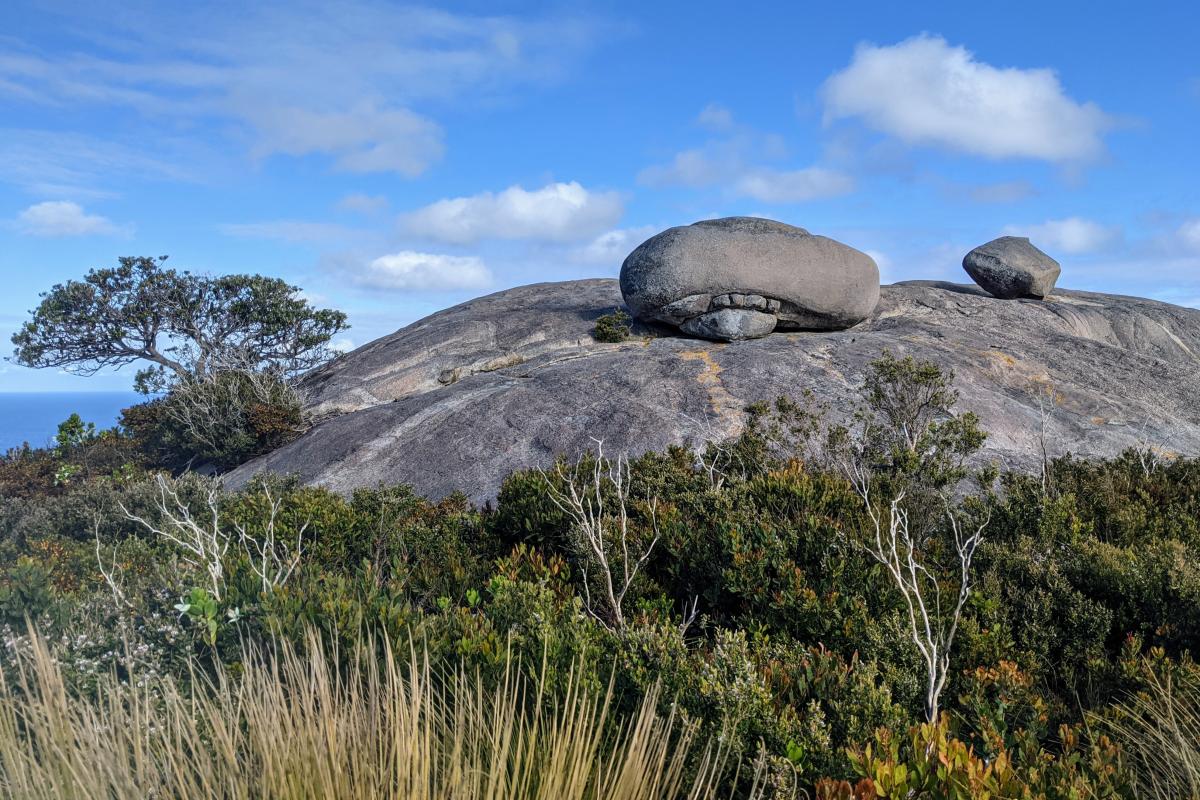 Granite rocks surrounded by coastal scrub with the ocean in the background