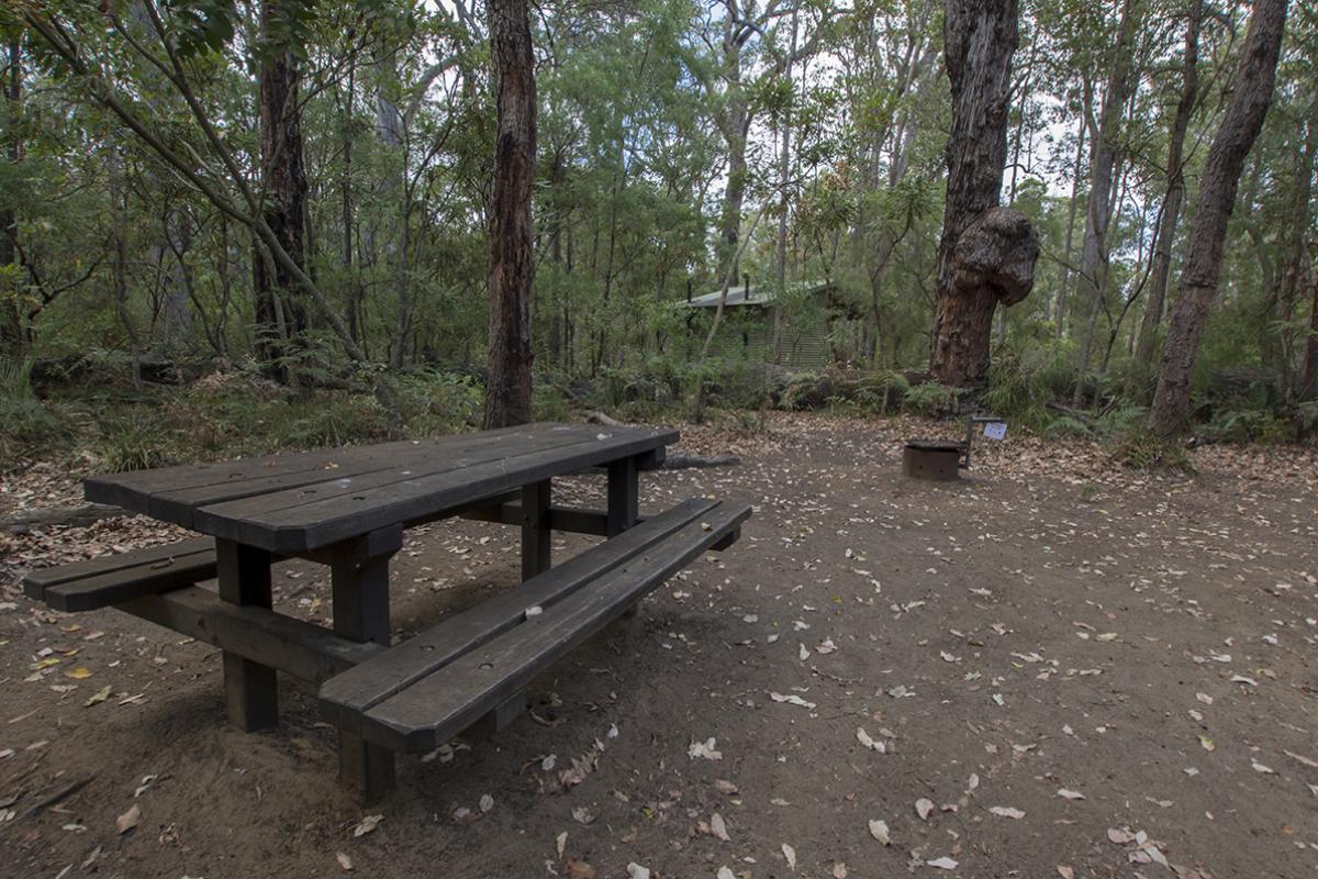 Picnic area at Sues Bridge Picnic table in a clearing surrounded by forest.