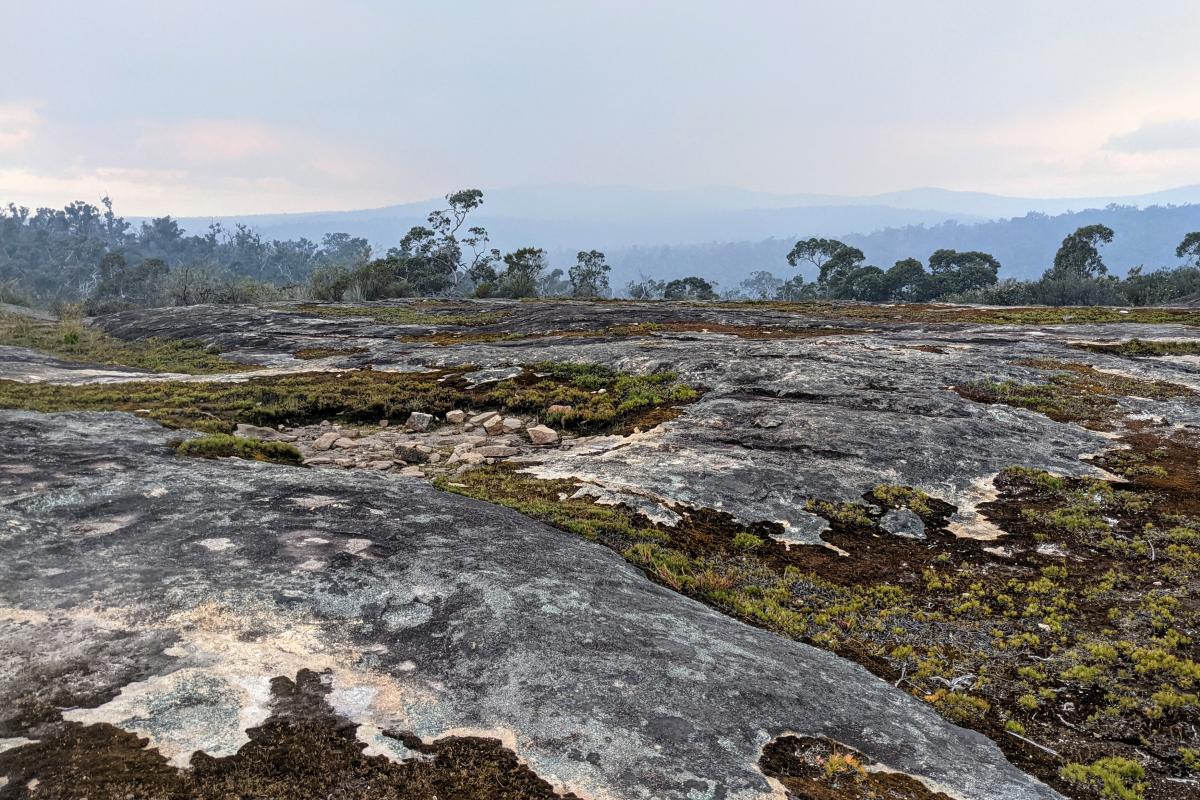 moss covers areas of Sullivan Rock