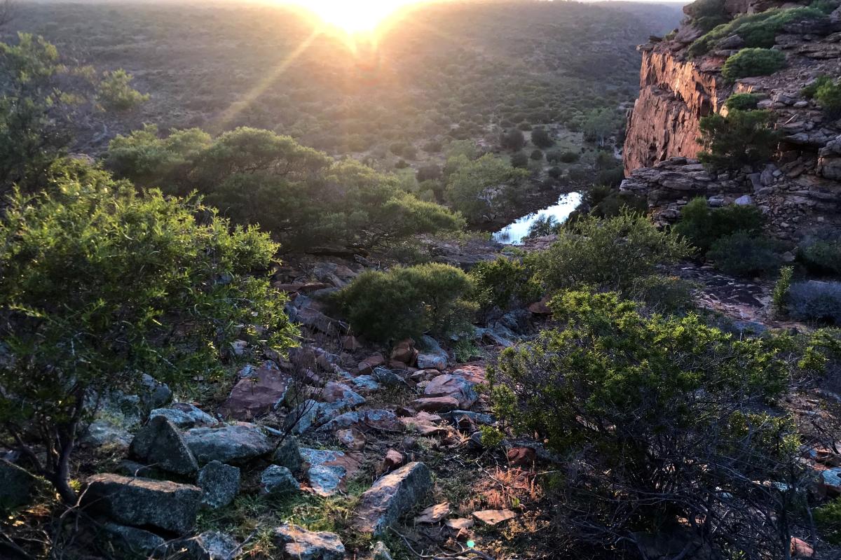 sunrise over Hawks Head in Kalbarri National Park