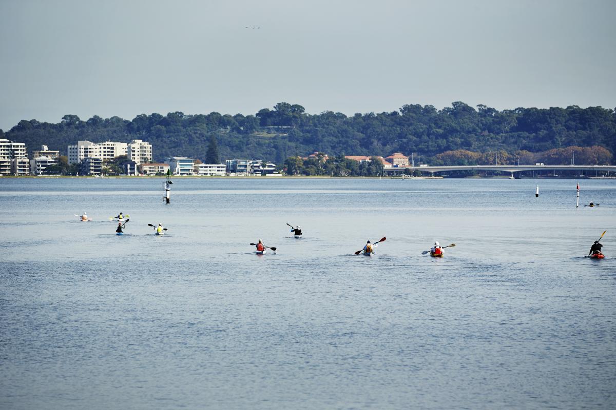 Group of people paddling in kayaks on the Swan River