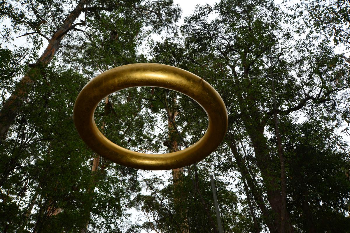 a gold ring sculpture is suspended between trees in the swarbrick forest
