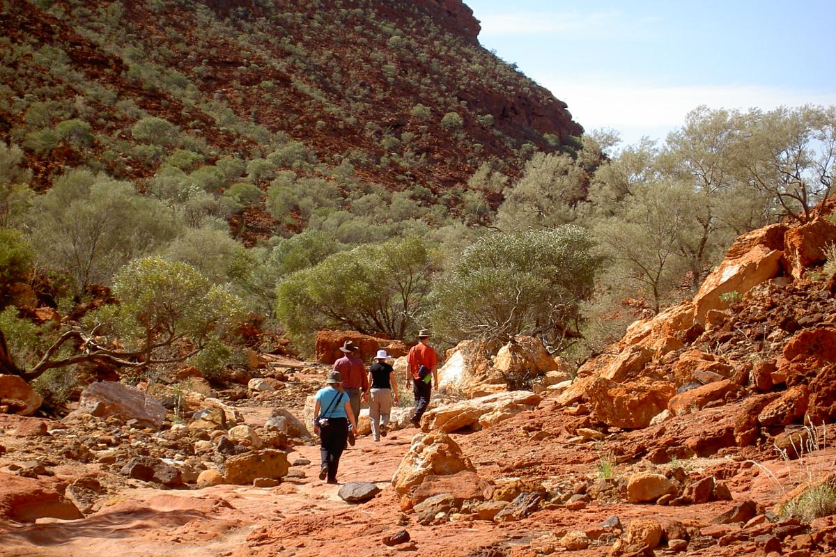 Visitors on the trail with red rock and green vegetation a dominant contrast