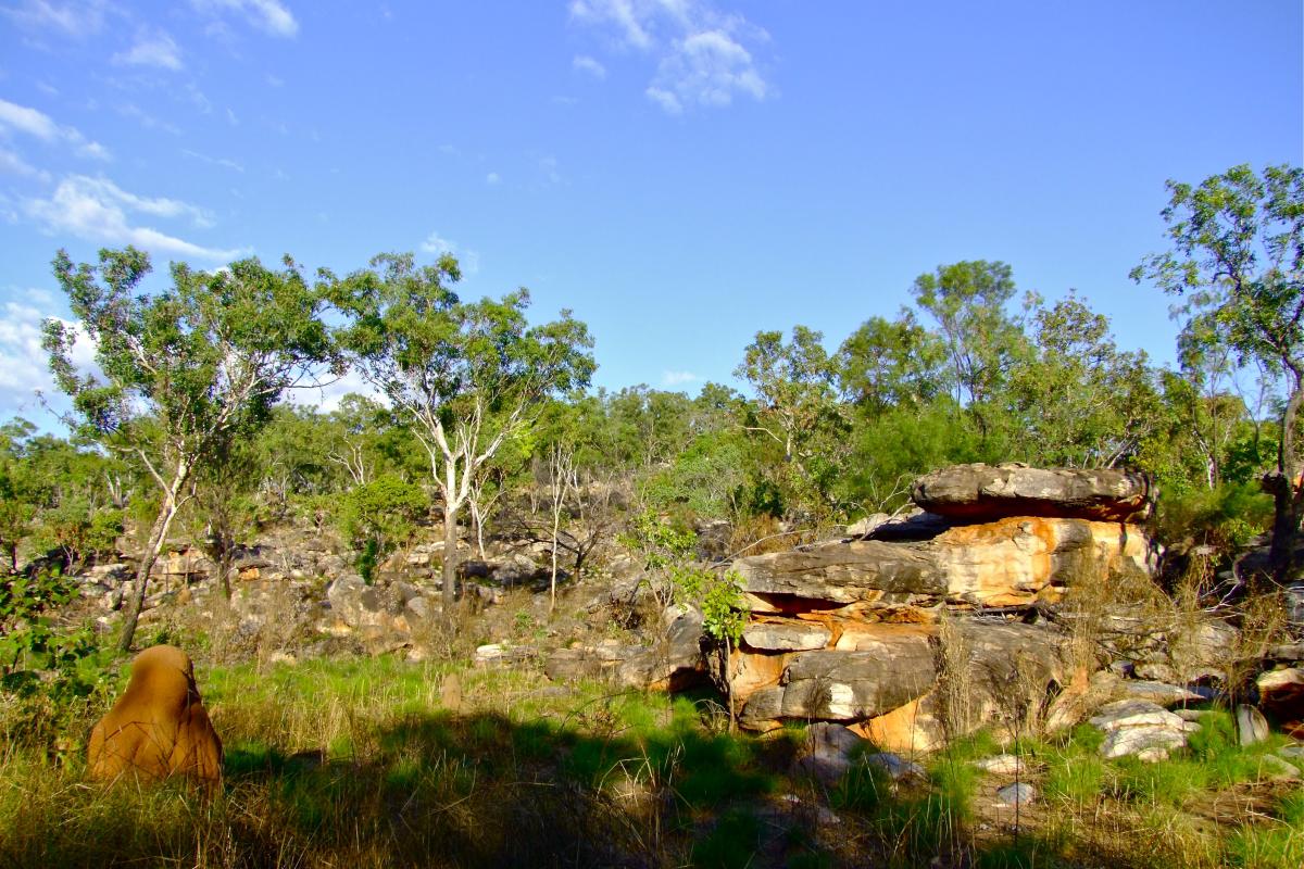 termite mound and granite outcrops in the outback of Mitchell River National Park