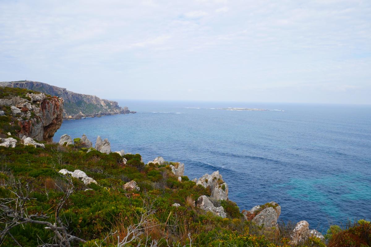 towering rock coastline with coastal heath vegetation and the blue ocean with a misty horizon