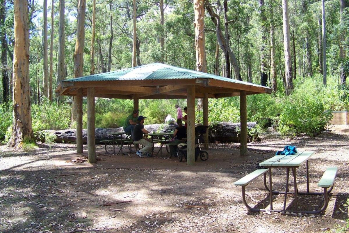 Tree in a rock picnic area shelter over picnic tables in a clearing with other picnic tables with forest in the background