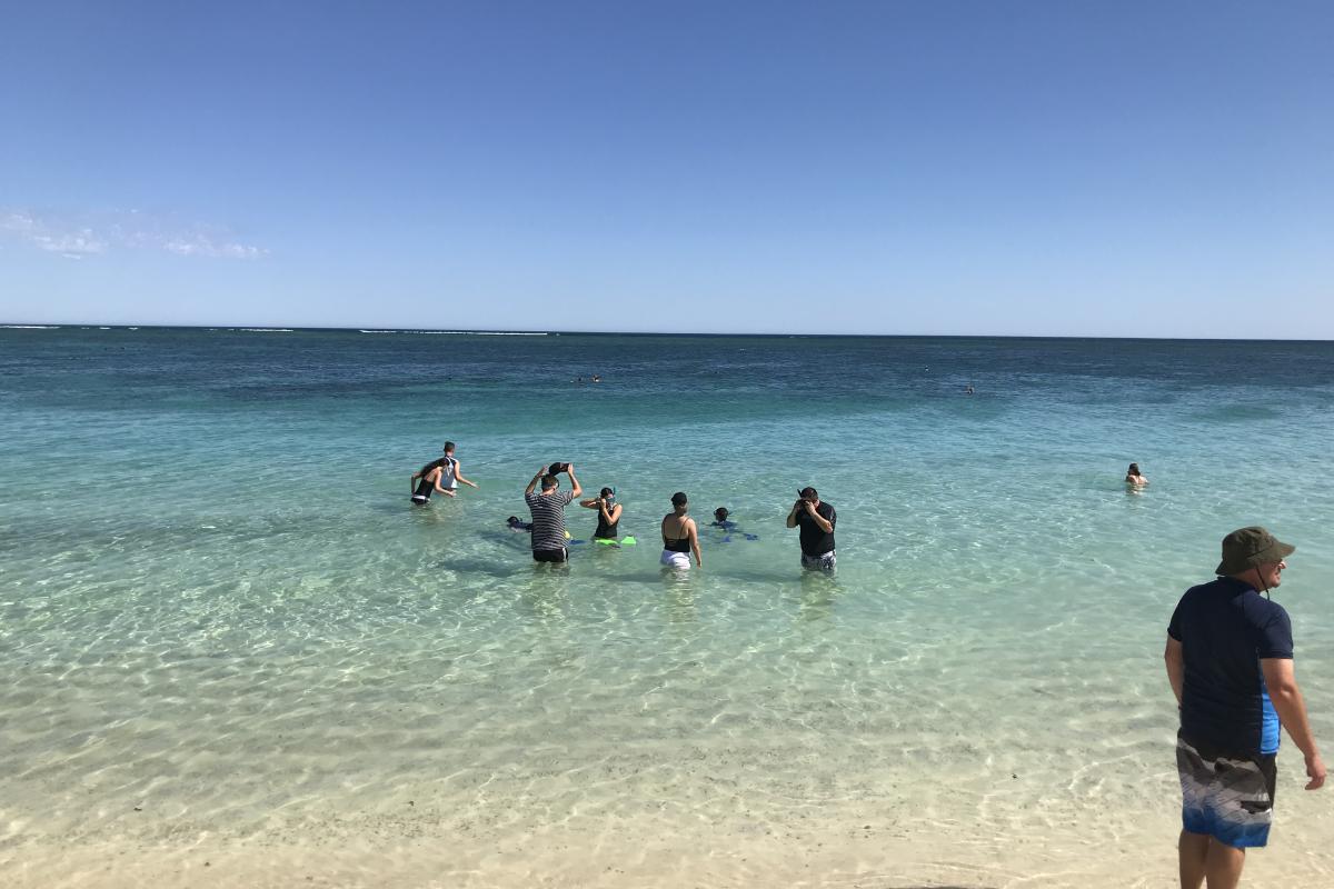 people in the clear blue waters of ningaloo marine park