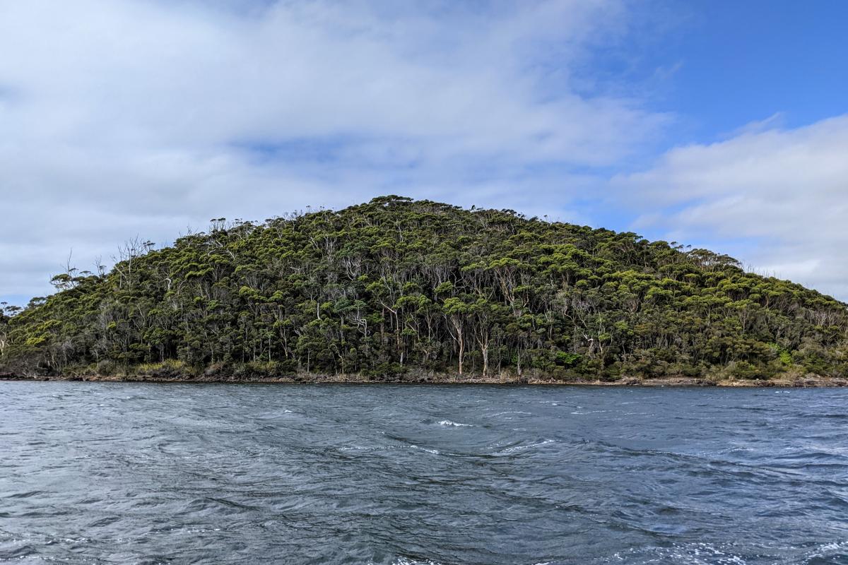 One of two forested headlands known as The Knolls, viewed from a boat on the Nornalup Inlet