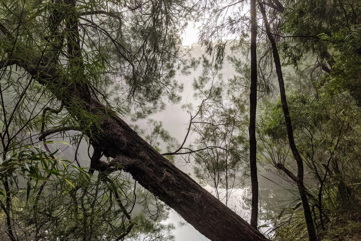 Warren River in Warren National Park