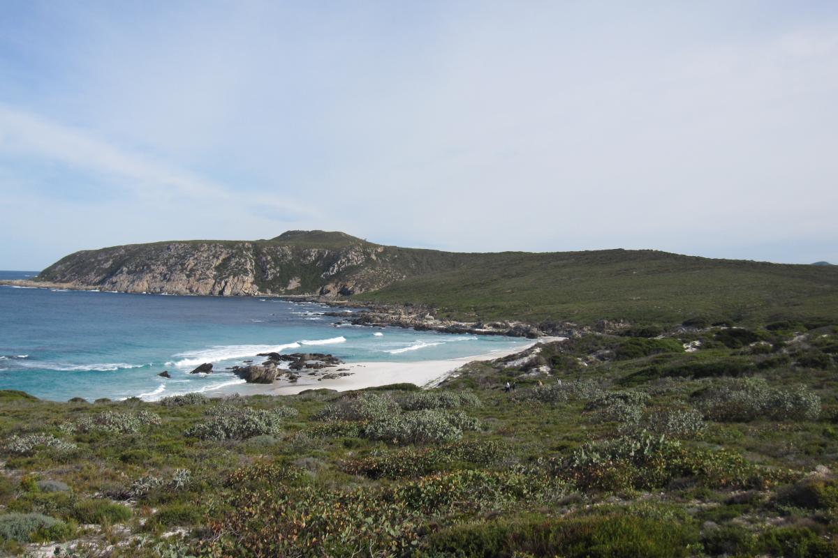 Protected beach with protuding headland and heavy vegetation