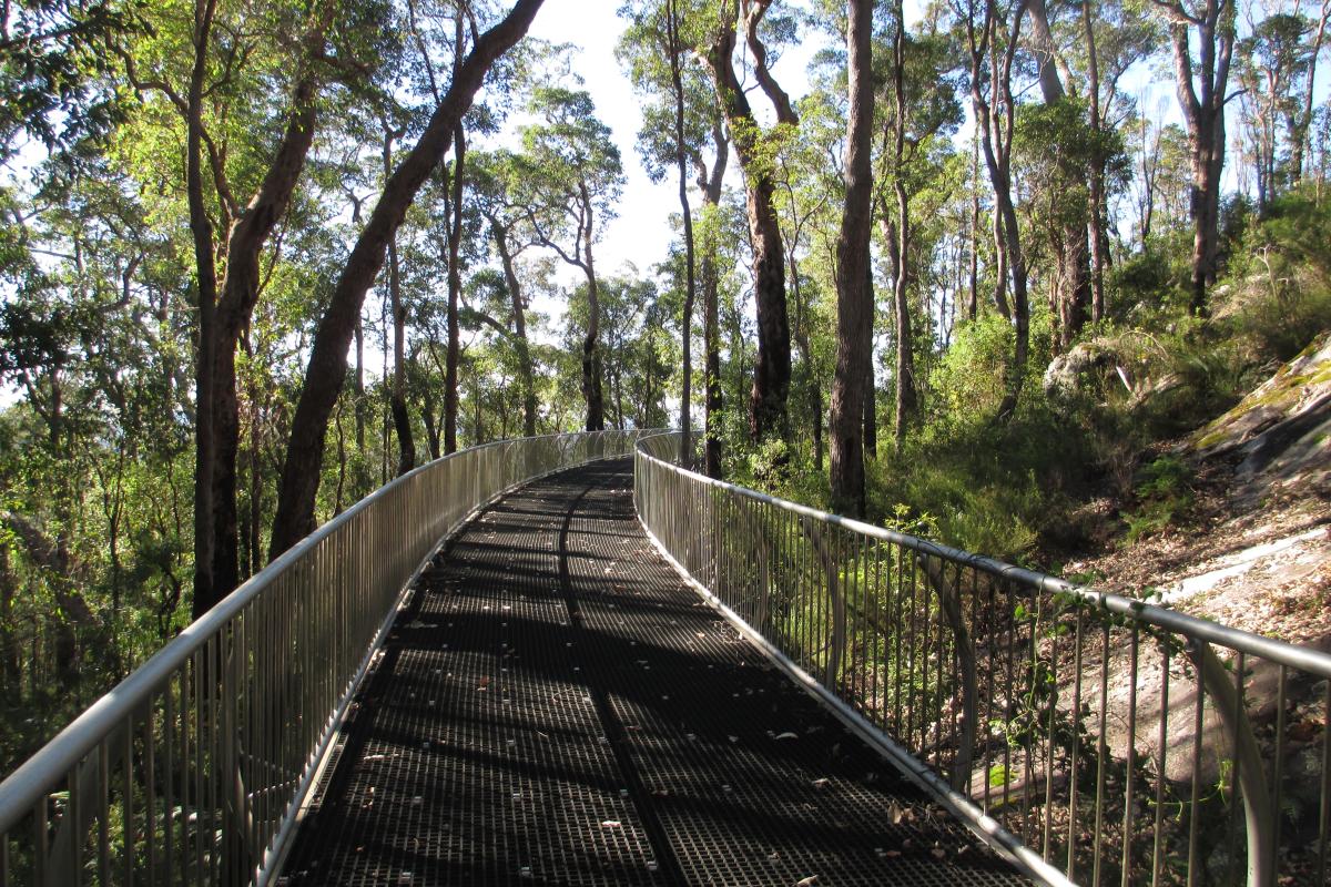 raised see through boardwalk out to the Wilderness View Lookout