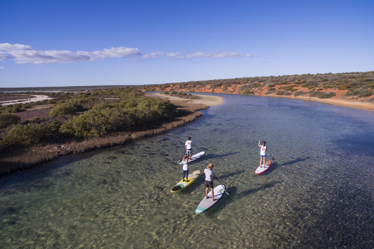 SUP tour with with Wula Gura Nyinda Eco Adventure Tours