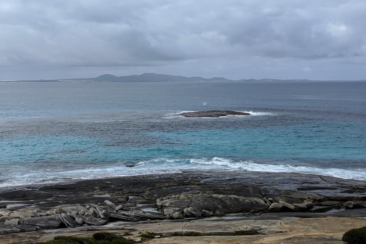 View from the rocks at Yokinup Bay with a whale visible in the distance