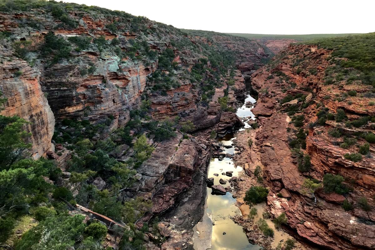 looking out at a deep banded sandstone gorge in Kalbarri National Park 