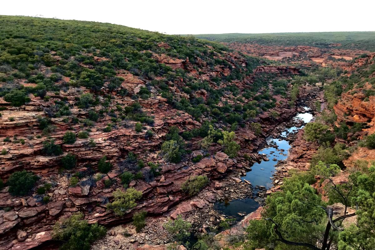 eroded banded sandstone landscape in Kalbarri National Park