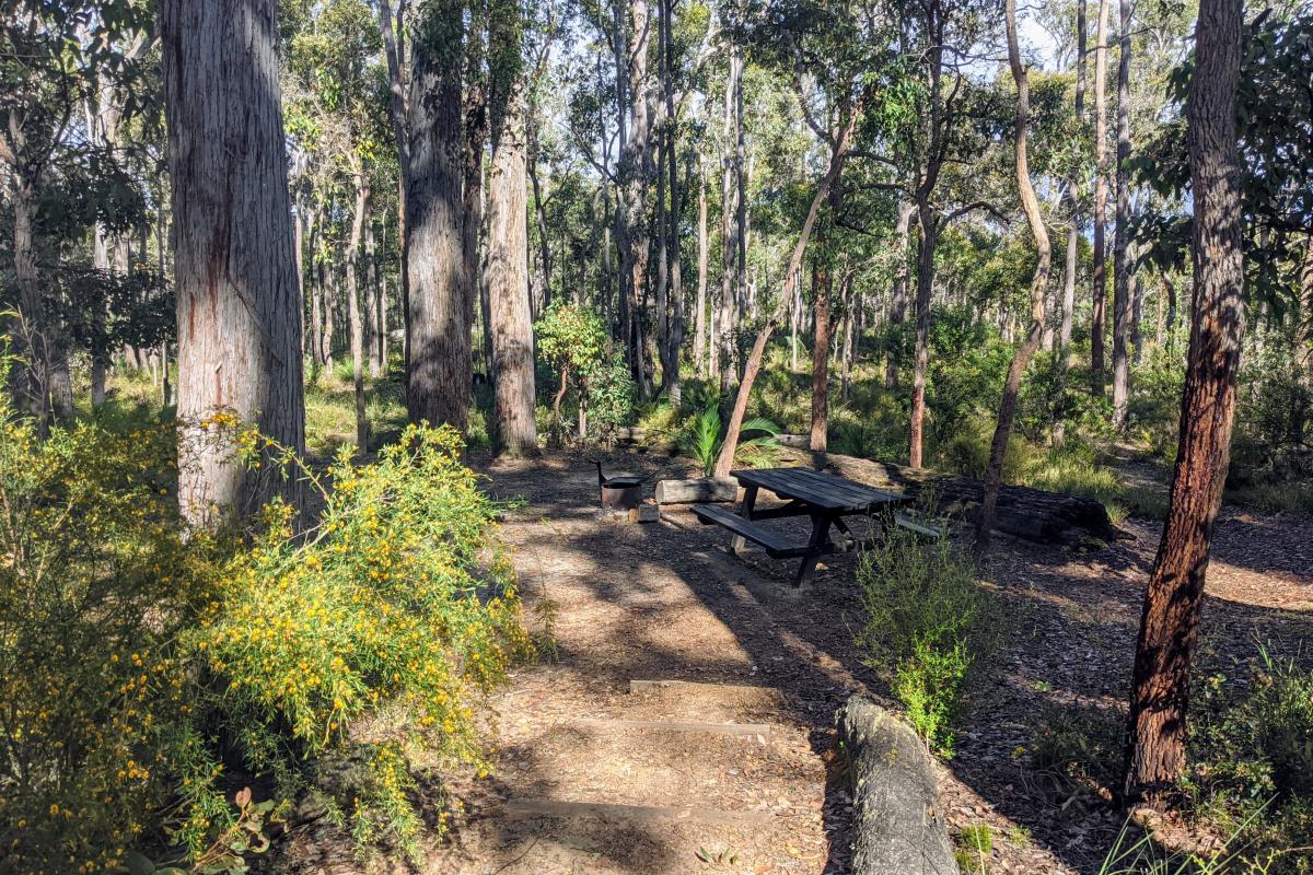Campsite with picnic bench and fire ring at Barrabup Campground