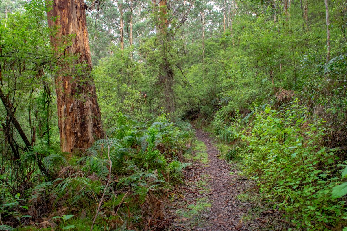 Boarding House Bibbulmun Track Boarding House Bibbulmun Track