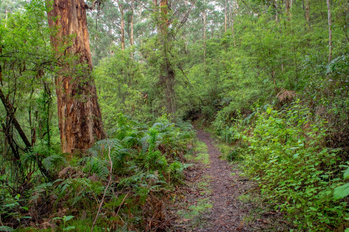 Boarding House Bibbulmun Track 