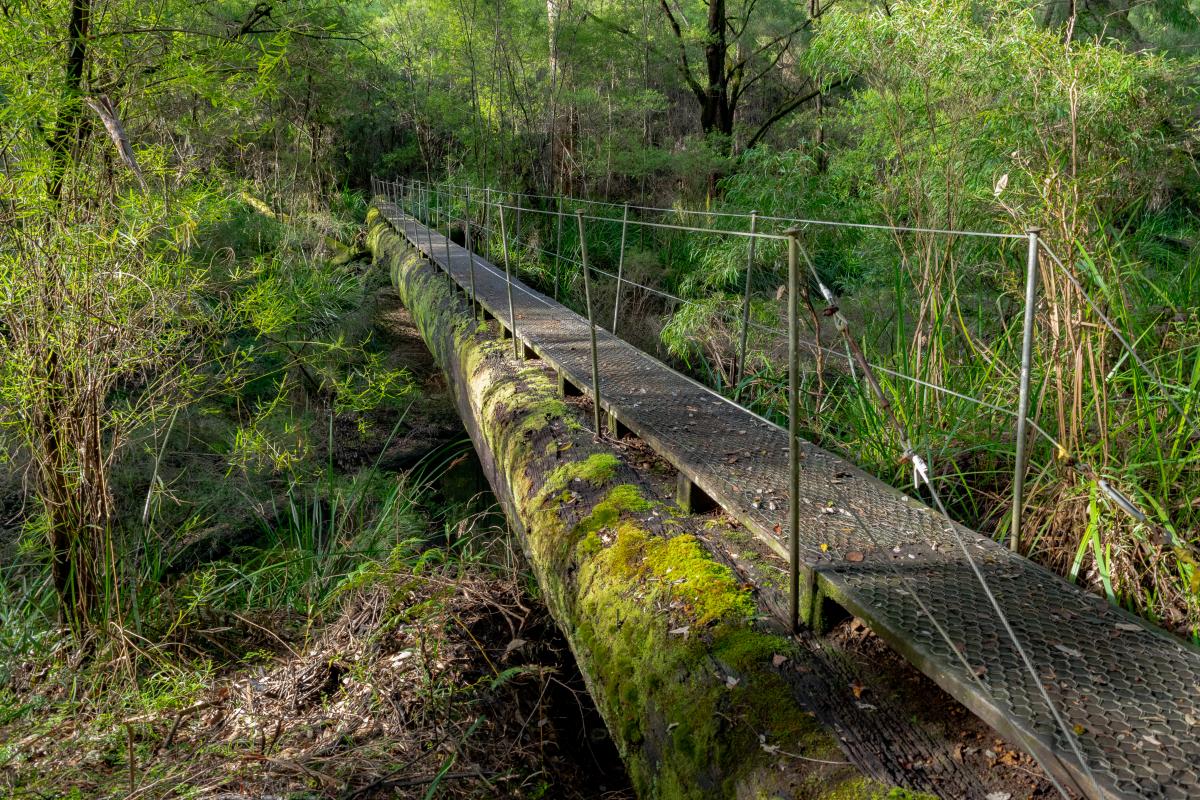 Boarding House Bridge, Bibbulmun Track Boarding House Bridge, Bibbulmun Track