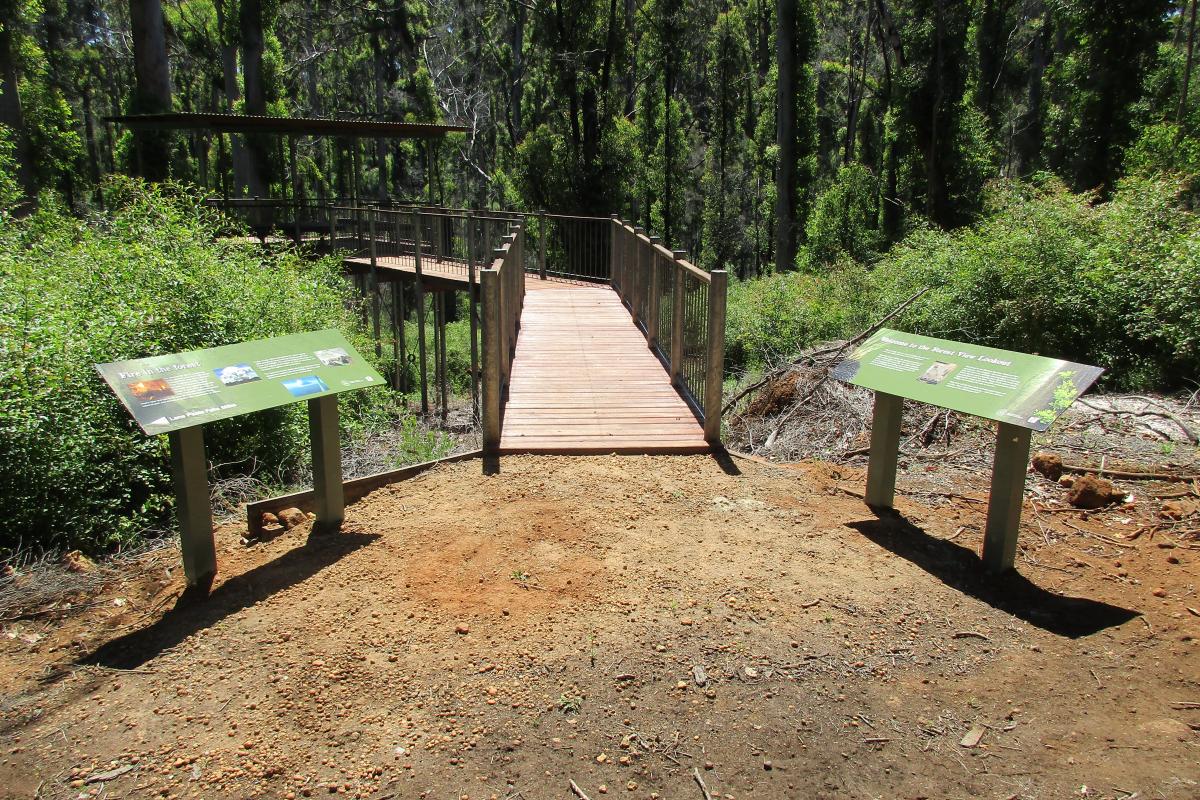 interpretive signs before the ramp that takes you to the replica boorara tree observation deck