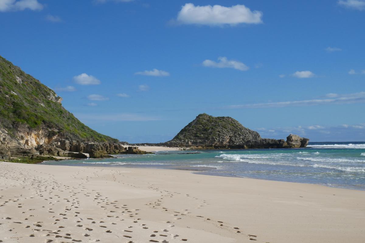 White sandy beaches with vegetation covered headlands.