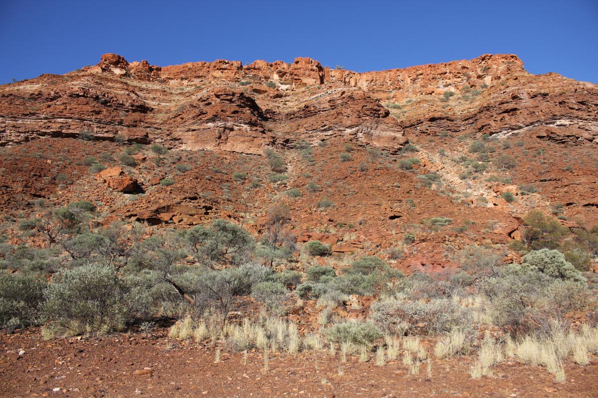 the escarpment in the background at temple gorge