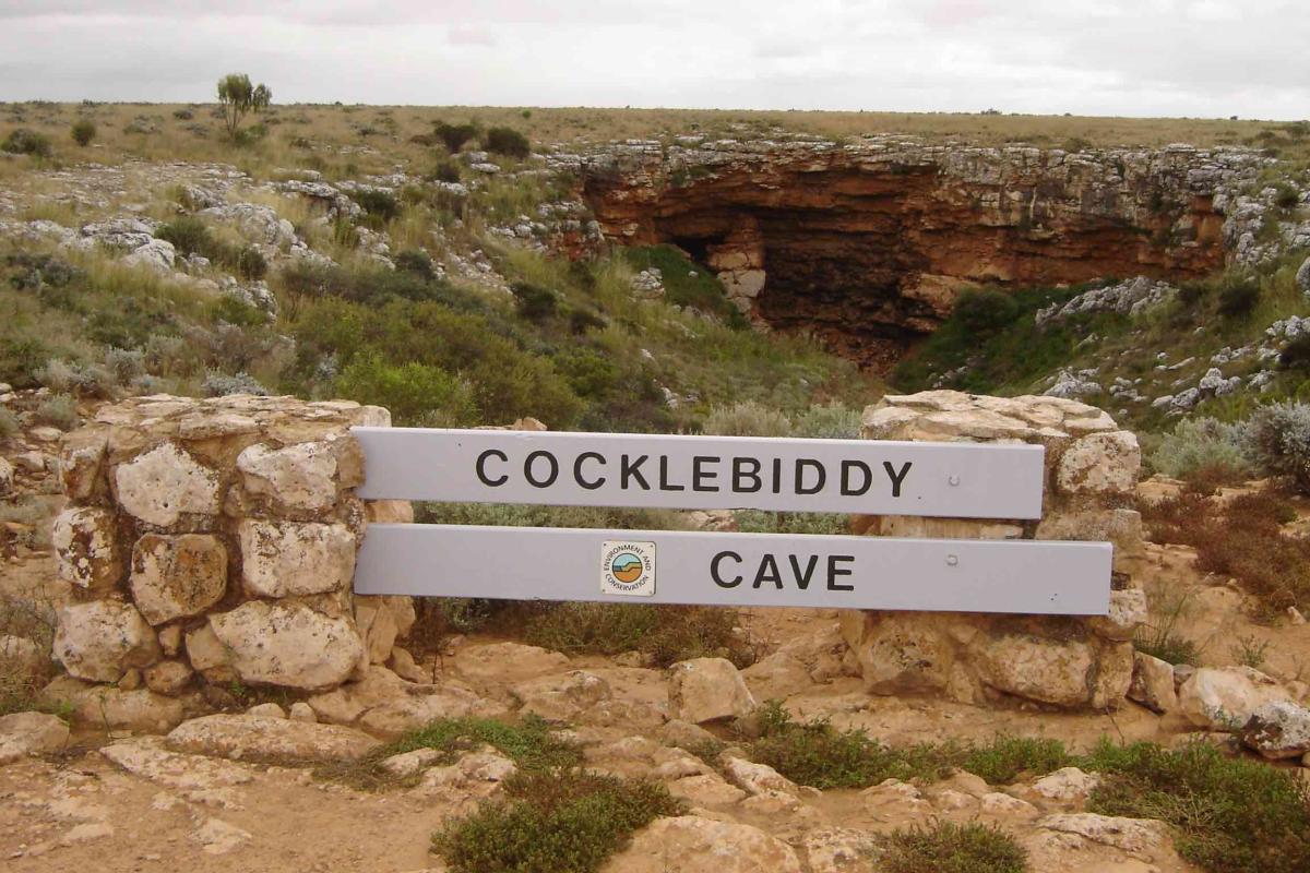 Cocklebiddy Cave Nuytsland Nature Reserve Cocklebiddy cave is a collapsed doline.