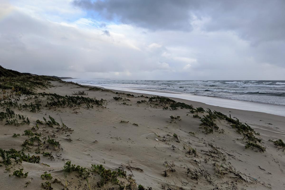 Coodamurrup Beach, about 2km from Moore's Hut