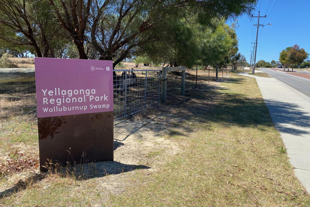 purple park sign
