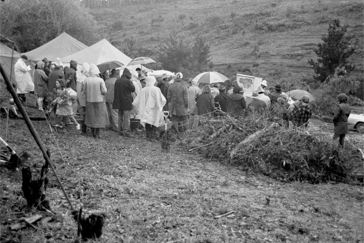 Tree planting in Foresters Wood in 1987 crowds of people planting trees in the rain