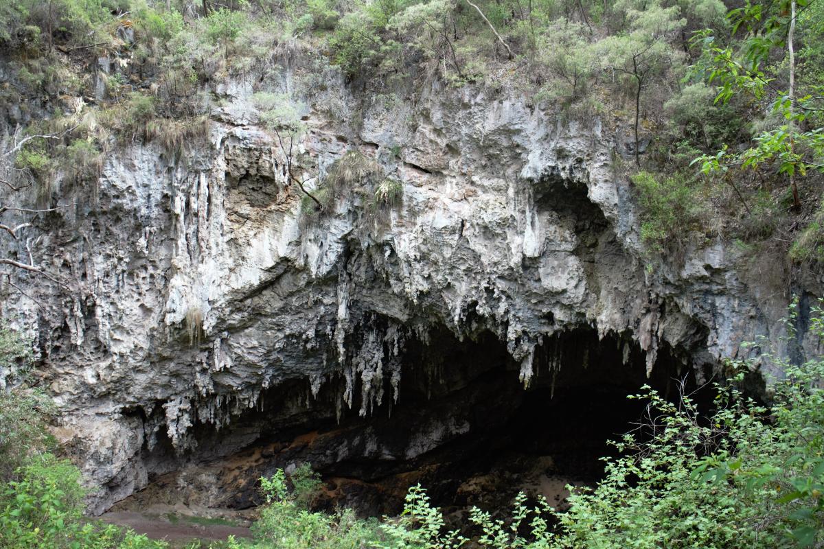 A view from above of the great hole in the earth where you access the cave.