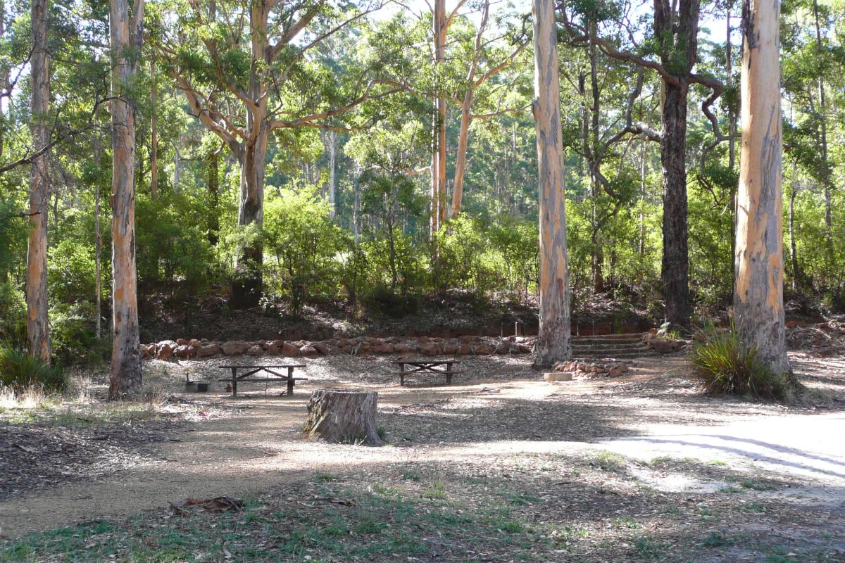picnic tables in between the karri trees