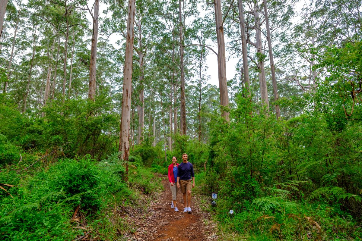 Two people walking on dirt path in forest.