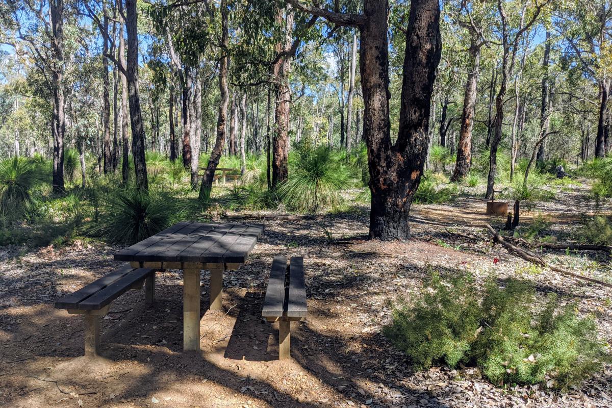 Picnic benches and fire rings at Grevillea Mycumbene