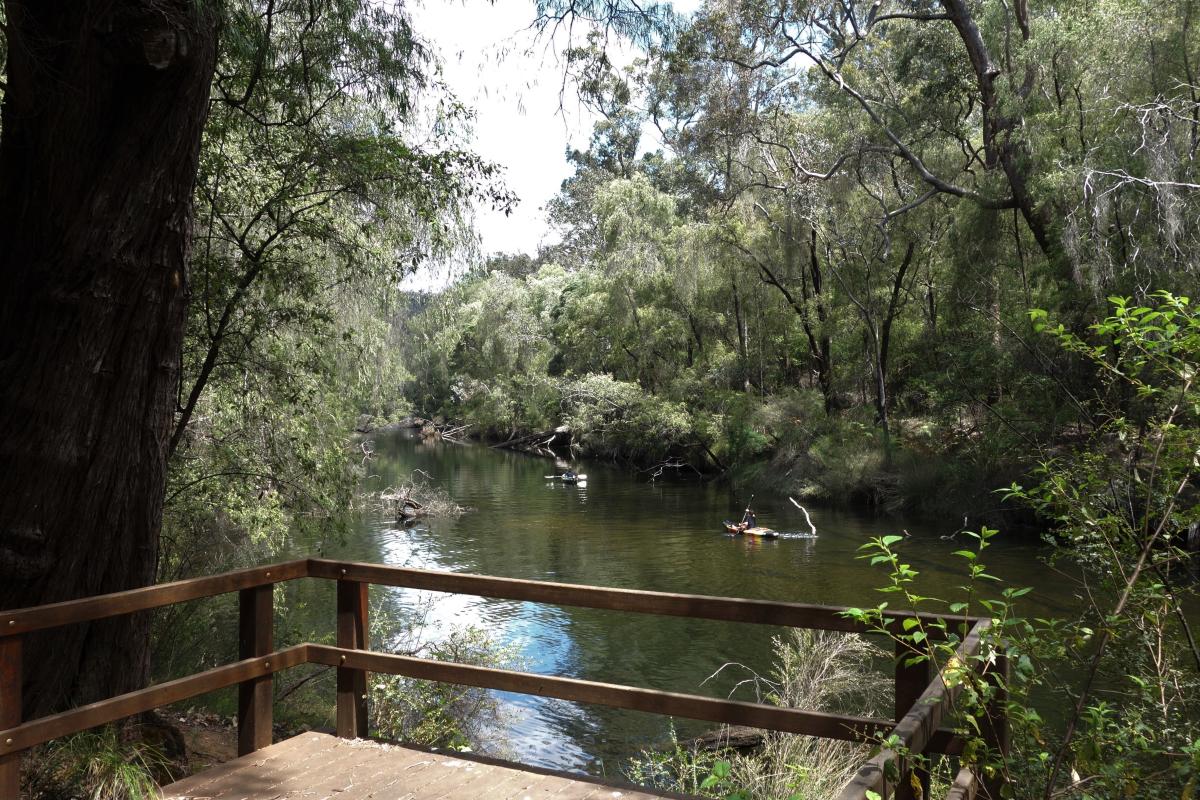 Kayakers paddle past a lookout on a quiet Collie River.