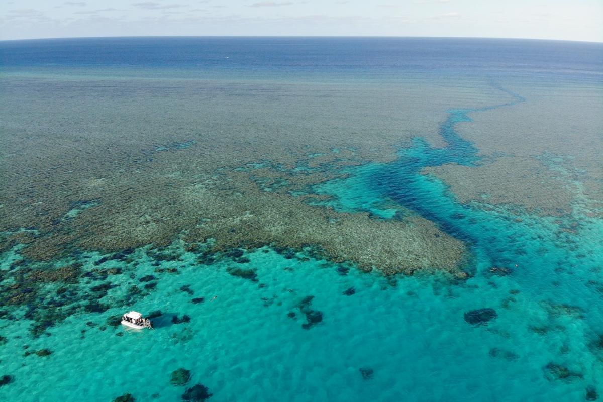 Aerial view of exposed reef 