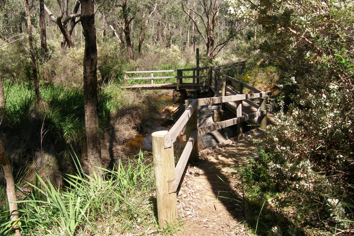 A wooden bridge taking you across the creek with surrounding bushland.