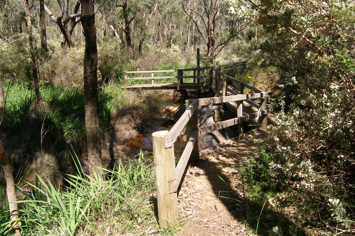 Kitty's Gorge Walk Trail, Serpentine National Park A wooden bridge taking you across the creek with surrounding bushland.